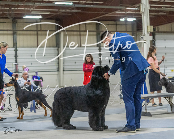 20230305-DSC01840