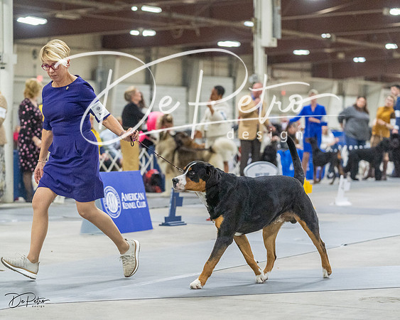 20230305-DSC01929