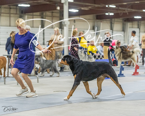 20230305-DSC01934