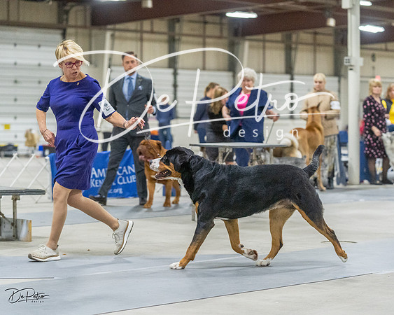 20230305-DSC01939