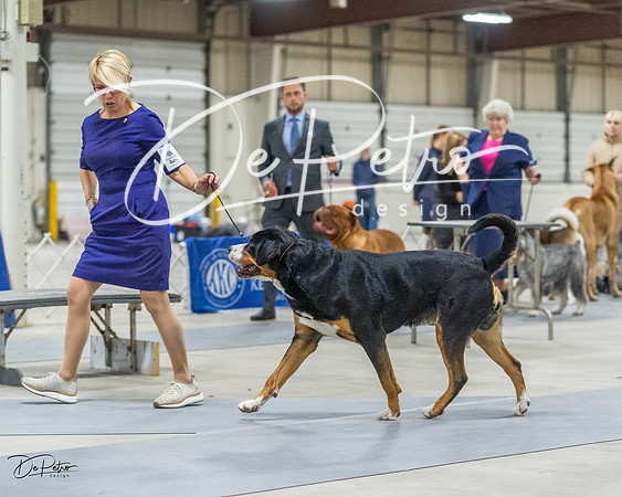 20230305-DSC01941