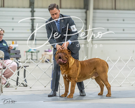 20230305-DSC01984
