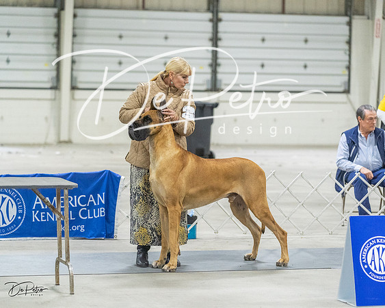 20230305-DSC02055
