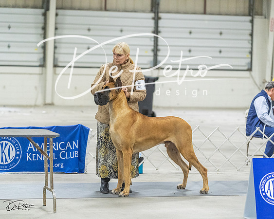 20230305-DSC02058