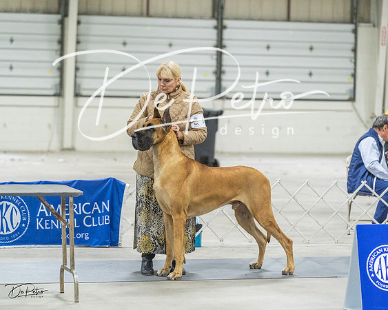 20230305-DSC02059