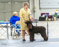 20230305-DSC02084