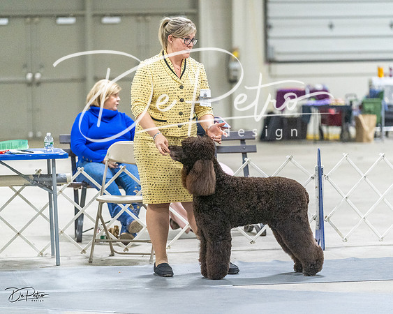 20230305-DSC02085