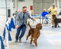 20230305-DSC02082