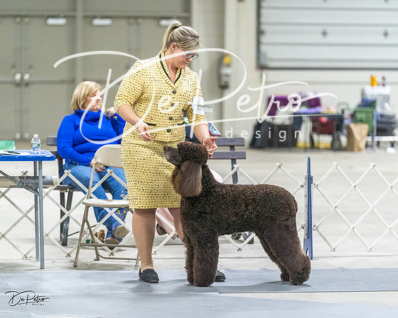 20230305-DSC02088