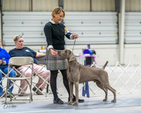 20230305-DSC02111