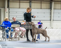20230305-DSC02119