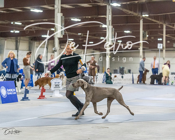20230305-DSC02130