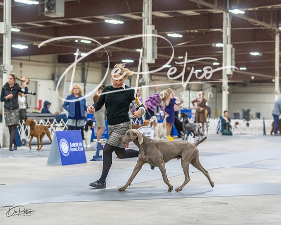 20230305-DSC02132