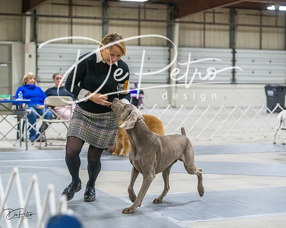 20230305-DSC02146
