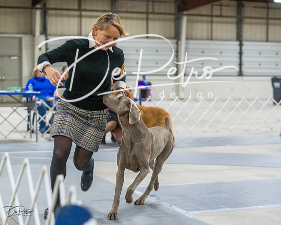 20230305-DSC02148