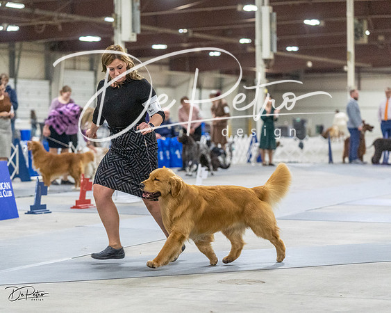 20230305-DSC02169
