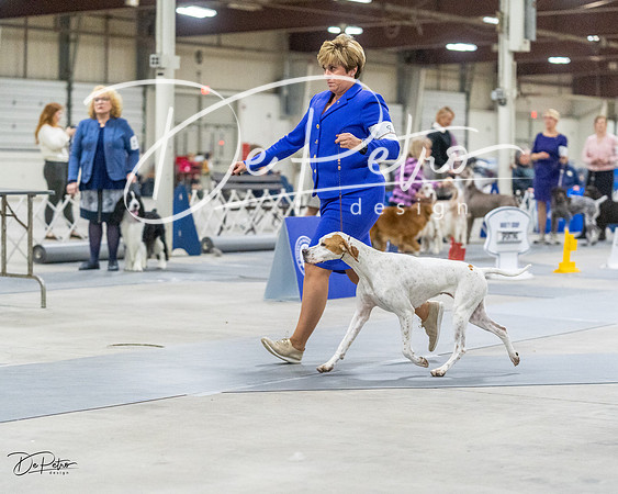20230305-DSC02207