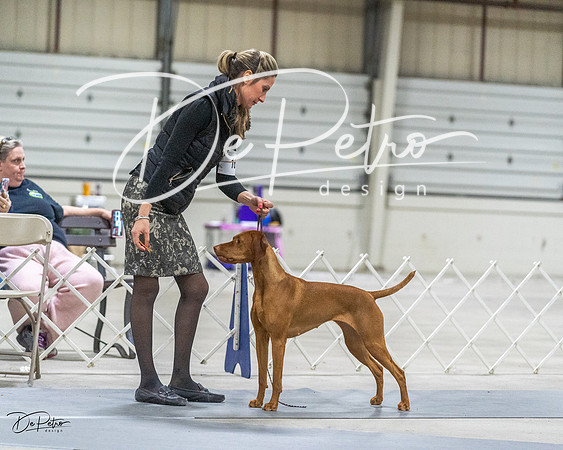 20230305-DSC02241
