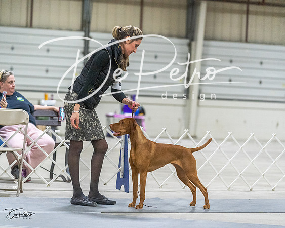 20230305-DSC02242