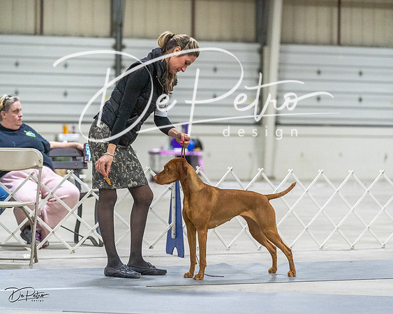 20230305-DSC02243