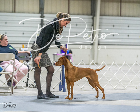20230305-DSC02244