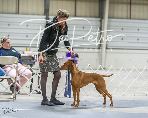 20230305-DSC02247