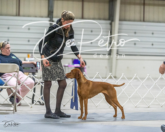 20230305-DSC02248