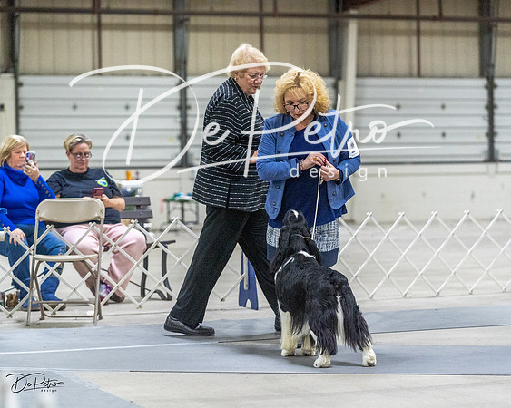 20230305-DSC02293