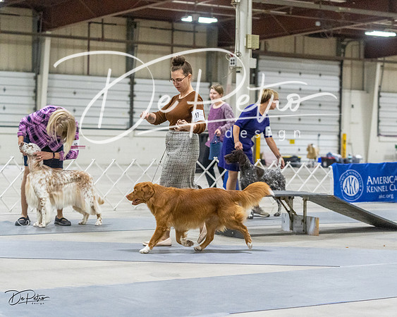 20230305-DSC02307