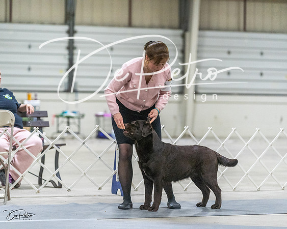 20230305-DSC02346