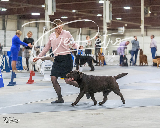 20230305-DSC02359