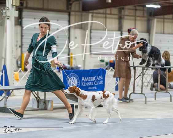 20230305-DSC02395