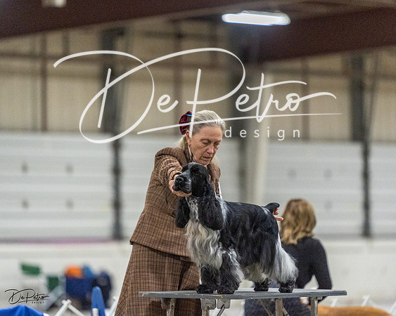 20230305-DSC02403