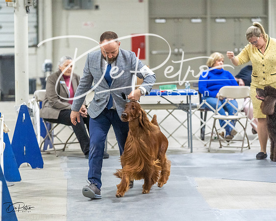 20230305-DSC02074