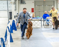 20230305-DSC02078