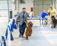 20230305-DSC02079