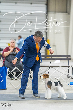 20230305-DSC02473