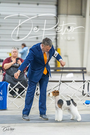 20230305-DSC02474