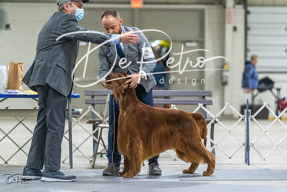 20230305-DSC02479