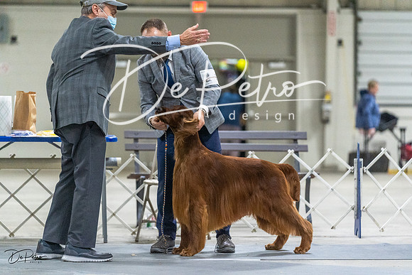 20230305-DSC02481