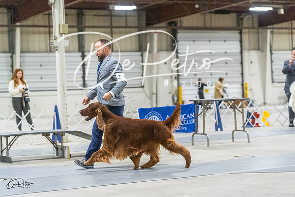 20230305-DSC02494