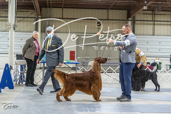 20230305-DSC02502