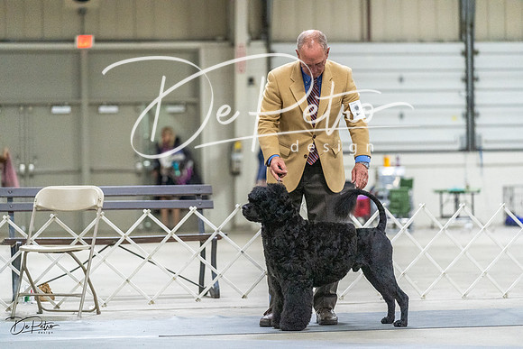 20230305-DSC02514