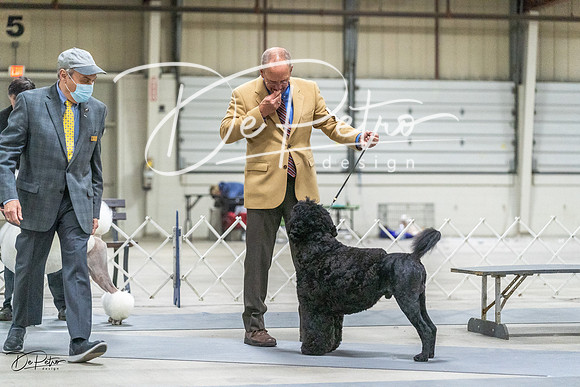 20230305-DSC02543
