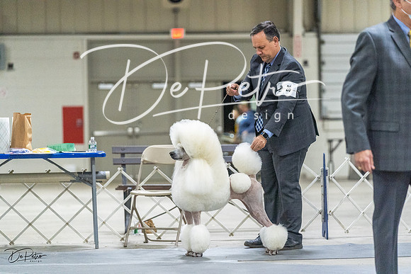 20230305-DSC02558