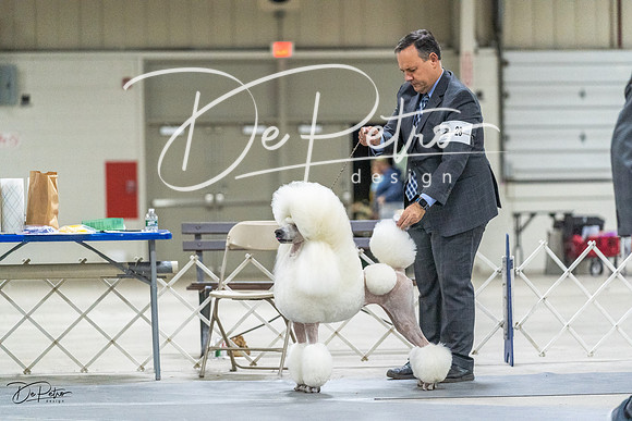 20230305-DSC02559