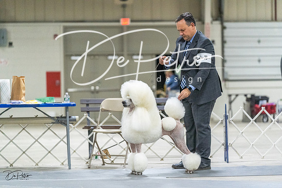 20230305-DSC02560