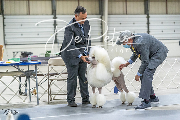 20230305-DSC02566