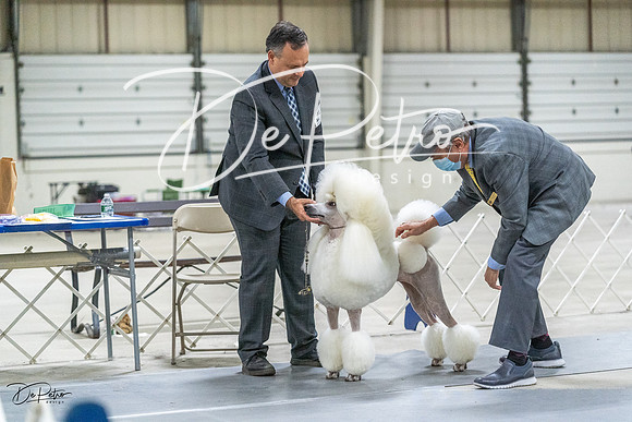 20230305-DSC02567