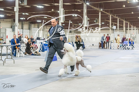 20230305-DSC02583